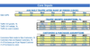 Ice Cream Shop Business Plan Excel Template Dashboard Core Inputs