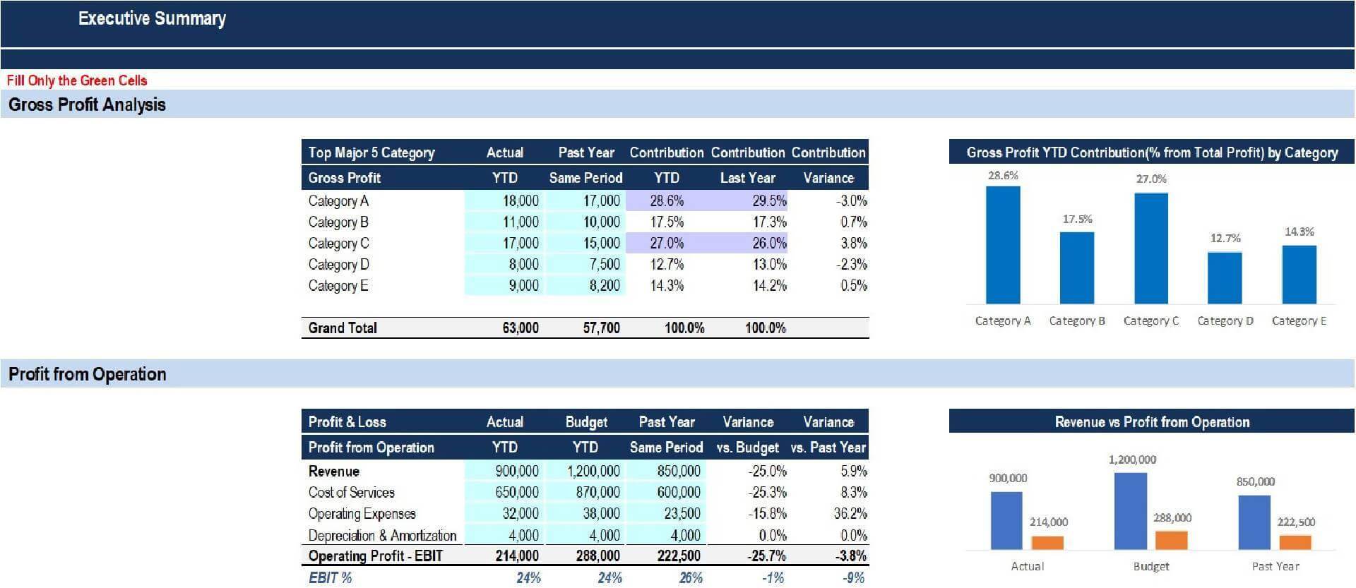 Executive Financial Summary Excel With Power Point Presentation