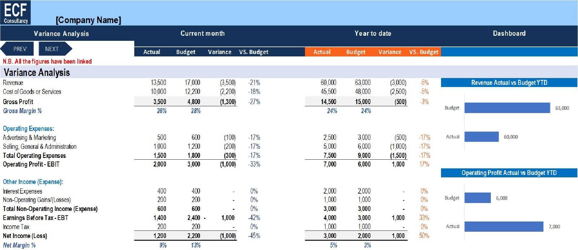 Monthly Profit & Loss Statement for a Small Business